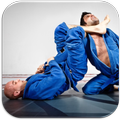 ”Jiu jitsu