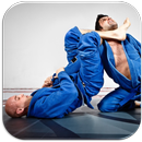 Jiu Jitsu APK