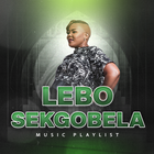 Lebo Sekgobela All Songs icono