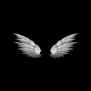 خلفيات سوداء APK