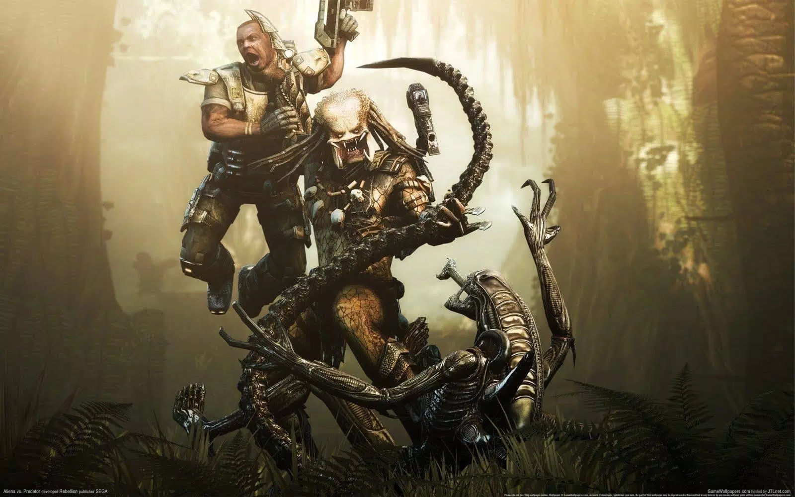 Predator Vs Alien Wallpaper APK for Android Download