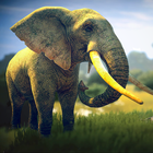 Jeux de simulateur de éléphant icône