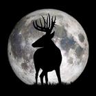 Deer Hunters Moon Guide icône