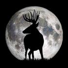 Icona Deer Hunters Moon Guide
