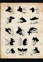 Handschaduwen Zelfstudies screenshot 1