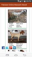 qurbani app Online Maweshi Mandi-Qurbani Animal screenshot 3