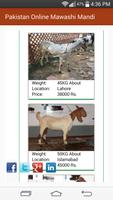 qurbani app Online Maweshi Mandi-Qurbani Animal capture d'écran 3