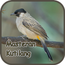 Masteran Kutilang Gacor - Offline APK