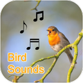 Bird Calls, Sounds, & Ringtones (Offline)