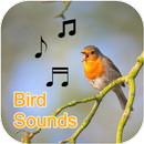 Appels, sons et sonneries d'oiseaux (hors ligne) APK