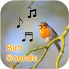 Bird Calls, Sounds, & Ringtones (Offline) आइकन