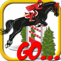 Show Jumping