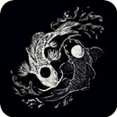 Black Aesthetic Wallpaper APK