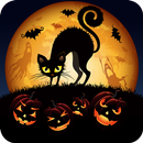 Black Halloween Cat Scary Theme APK