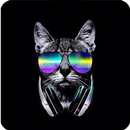 black Wallpaper - amoled darki APK