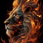 Lion Wallpapers HD 2024 icon