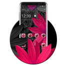 Thème fleur noir rose APK