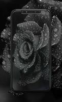 Black Wallpaper poster