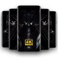Черные обои 2019