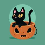 Black Cat Wallpaper آئیکن