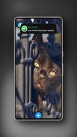 Black Cat Wallpaper poster