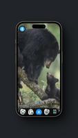 Black Bear Wallpaper imagem de tela 1