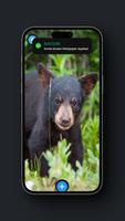 Black Bear Wallpaper imagem de tela 2