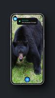 Black Bear Wallpaper imagem de tela 3