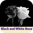 black and white rose APK