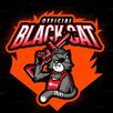 BlackCat VPN APK