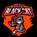 BlackCat VPN APK