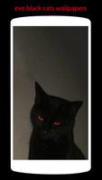 Exe Black Cats Wallpaper скриншот 1