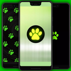 Black Cat Wallpapers icon