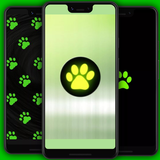 Black Cat Wallpapers 아이콘