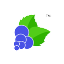 Blackcurrant Timesheet APK