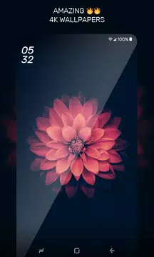 Screenshot 21 for Black Wallpaper