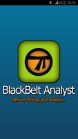 BlackBelt Analyst-poster