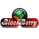 APK Blackberry Sample App