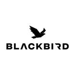 Blackbird Fitness