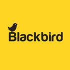 Blackbird ikona