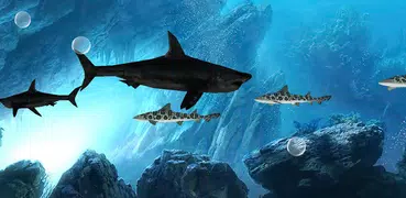 3D Sharks Live Wallpaper Lite
