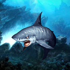 3D Sharks Live Wallpaper icône