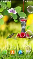 Hummingbirds wallpaper captura de pantalla 1