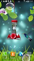 Hummingbirds wallpaper captura de pantalla 2