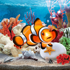 3D Aquarium Live Wallpaper simgesi