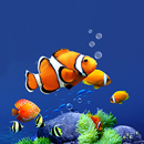 Aquarium Live Wallpaper HD APK