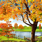 Autumn Pond Live Wallpaper icône