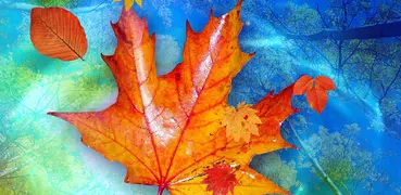 Autumn Leaves Live Wallpaper