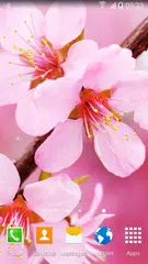 Blooming Trees Live Wallpaper APK Herunterladen