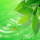 3D Leaves Live Wallpaper আইকন